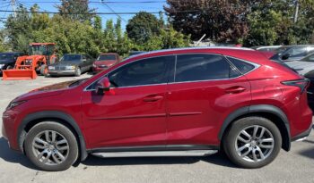 2015 Lexus NX200 Executive Package full